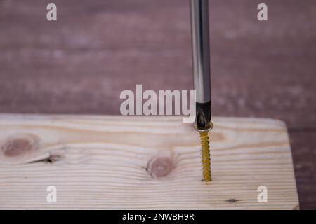 Immagine della testa di un cacciavite che inserisce una vite in un pezzo di legno. Fai da te e artigianato fatti in casa. Foto Stock