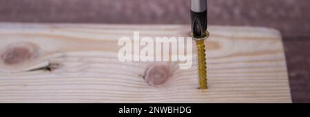 Immagine della testa di un cacciavite che inserisce una vite in un pezzo di legno. Fai da te e artigianato fatti in casa. Banner orizzontale Foto Stock