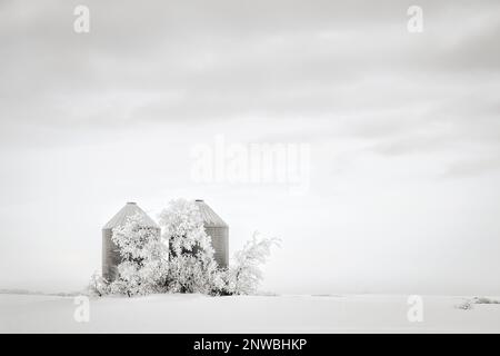 Due piccoli bidoni di grano di acciaio dietro alberi coperti di brina bianca in un paesaggio bianco arido di inverno Foto Stock