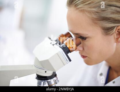 Scopri un mondo nuovo di zecca. Scatto di una bella donna in un laboratorio che lavora con un microscopio. Foto Stock