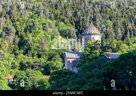 Edificio del Monastero di Sapara (chiesa di St. Saba) situato su una collina nella regione di Samtskhe-Javakheti, lussureggiante foresta e vegetazione intorno, Georgia. Foto Stock