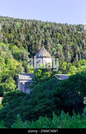 Edificio del Monastero di Sapara (chiesa di St. Saba) situato su una collina nella regione di Samtskhe-Javakheti, lussureggiante foresta e vegetazione intorno, Georgia. Foto Stock