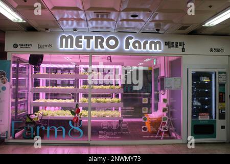 Metro Farm vegetale organico impianto di coltivazione in metropolitana stazione Foto Stock