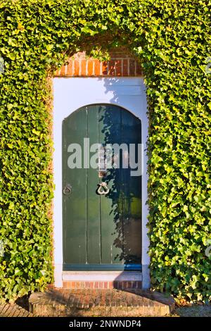 Tradizionale porta in legno circondata da edera in una casa colonica olandese del 17th° secolo. Menkemaborg, Uithuizen, Groningen Foto Stock