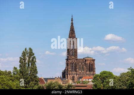 Cattedrale di Strasburgo, Strasburgo, Bas-Rhin, Francia Foto Stock
