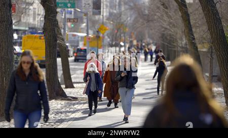 Camminando sulla 5th Avenue Central Park East a New York - NEW YORK CITY, USA - 14 FEBBRAIO 2023 Foto Stock