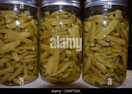 Vasetti di casa in scatola di fagioli verdi seduti su un banco di cucina raffreddamento dopo essere stati tolti dalla pressione inscatolatore. Foto Stock