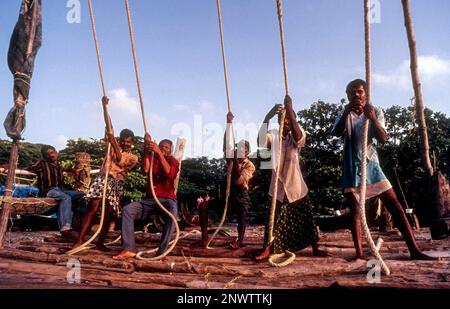 Gestione delle reti da pesca cinesi o Cheena vala a Fort Kochi o Cochin, Kerala, India, Asia Foto Stock