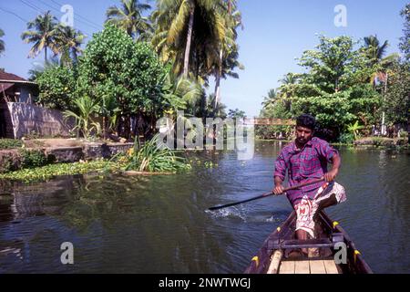 Un uomo barca a remi, Backwaters di Kuttanad, Kerala, India del Sud, India, Asia Foto Stock