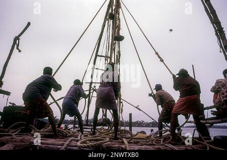 Funzionamento delle reti da pesca cinesi Cheena vala a Fort Kochi Cochin, Kerala, India, Asia Foto Stock