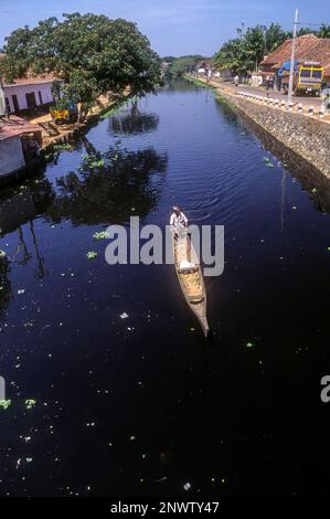 Un uomo barca a remi Backwaters di Alappuzha Alleppey, Kerala, India del Sud, India, Asia Foto Stock