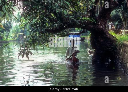 Un uomo che voga piccola barca di legno, Backwaters di Kerala, India del sud, India, Asia Foto Stock