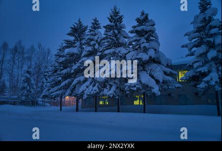 Splendida vista invernale notturna di Hokkaido Giappone Foto Stock
