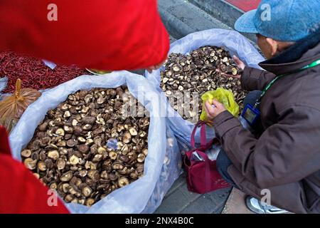 Mercato a ingresso est del parco Beihai, in Dashizuo Hutong,Beijing, Cina Foto Stock