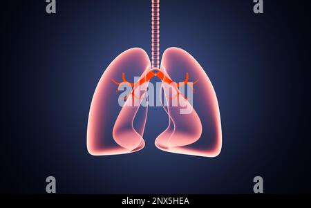 Sistema nervoso luminoso e polmoni, concetto medico, rendering 3D. Disegno digitale. Foto Stock