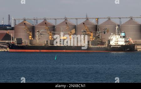 ODESSA, UCRAINA - 09 agosto 2021: Carico di grano in stive di nave da carico marittimo su una linea automatica in porto marittimo da silos di deposito di grano. BUN carico alla rinfusa Foto Stock