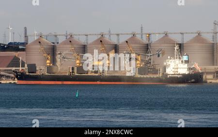 ODESSA, UCRAINA - 09 agosto 2021: Carico di grano in stive di nave da carico marittimo su una linea automatica in porto marittimo da silos di deposito di grano. BUN carico alla rinfusa Foto Stock