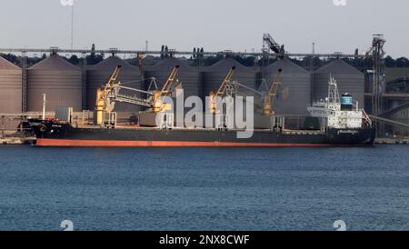 ODESSA, UCRAINA - 09 agosto 2021: Carico di grano in stive di nave da carico marittimo su una linea automatica in porto marittimo da silos di deposito di grano. BUN carico alla rinfusa Foto Stock