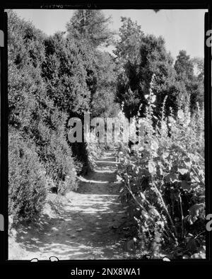 Bremo Recess, Fork Union vic., Fluvanna County, Virginia. Carnegie Survey of the Architecture of the South. Stati Uniti Virginia Fluvanna County Fork Union vic, Gardens. Foto Stock