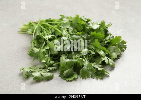 Mazzo di coriandolo verde fresco su tavolo grigio chiaro, primo piano Foto Stock