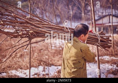 Hanji, carta tradizionale coreana, bambola di carta fatta a mano da gelsi Foto Stock