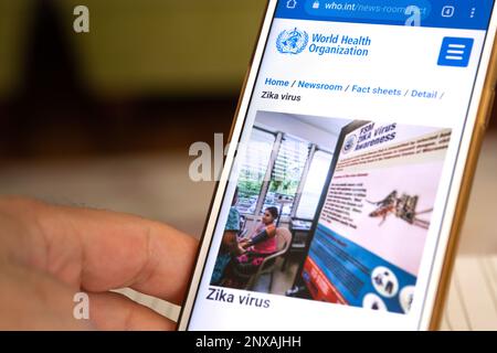 Una mano sta tenendo un telefono cellulare. Il sito dell'Organizzazione Mondiale della Sanità è aperto sul telefono cellulare. Immagine del virus Zika sul sito WEB DELL'OMS. Foto Stock