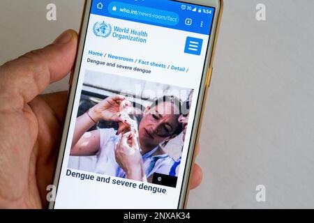 Una mano sta tenendo un telefono cellulare. Il sito dell'Organizzazione Mondiale della Sanità (OMS) è aperto sul telefono cellulare. Immagine di Dengue e dengue grave. Foto Stock