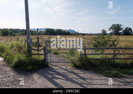 Gartness, Stirlingshire, Scozia. Luglio 21st, 2014. I percorsi a piedi John Muir Way e West Highland Way passano attraverso un cancello per la valle di Strathblane. Foto Stock