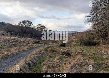 Vista a nord di ben Lomond dalla John Muir Way e dalla West Highland Way, percorso condiviso dalla collina di Dumgoyach nella valle di Strathblane, Scozia centrale. Foto Stock