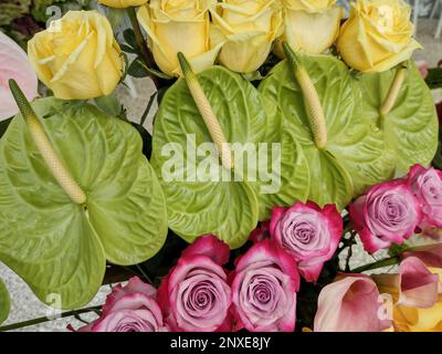 composizione floreale di giglio di calla, rosa - fiori naturali Foto Stock