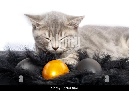Un piccolo gattino grigio dormiente si trova su un soffice primo sfondo con uova nere e dorate sul letto. Il concetto di caccia all'uovo di Pasqua. Il concetto di Foto Stock
