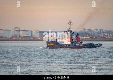 Rimorchiatore operante nel Tamigi a Greenhithe Kent Foto Stock