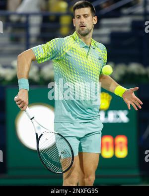 Dubai, Emirati Arabi Uniti, 1st. Marzo 2023. Tennista serbo Novak Djokovic in azione al Dubai Duty Free Tennis Championships ATP torneo al Dubai Duty Free Tennis Stadium Mercoledì 01 marzo Febbraio 2023., © Juergen Hasenkopf / Alamy Live News Foto Stock