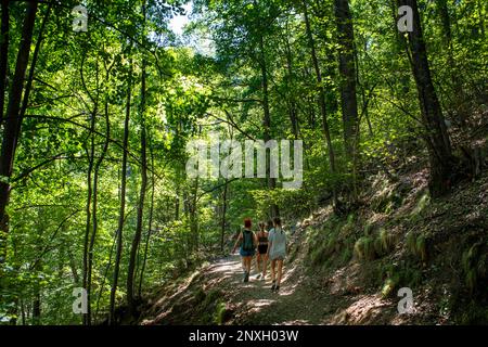 Sentiero escursionistico attraverso Gorges de la Caranche, Pyrénées-Orientales, Languedoc-Roussillon, Francia. Le gole del Carançà sono una gola situata nel comune Foto Stock