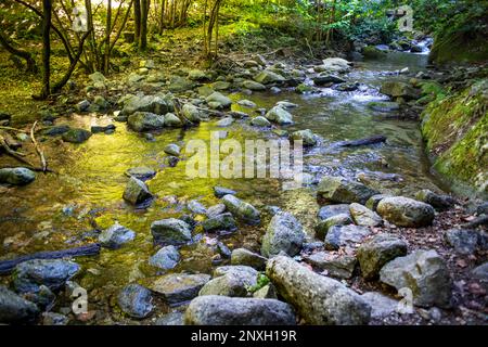 Sentiero escursionistico attraverso Gorges de la Caranche, Pyrénées-Orientales, Languedoc-Roussillon, Francia. Le gole del Carançà sono una gola situata nel comune Foto Stock