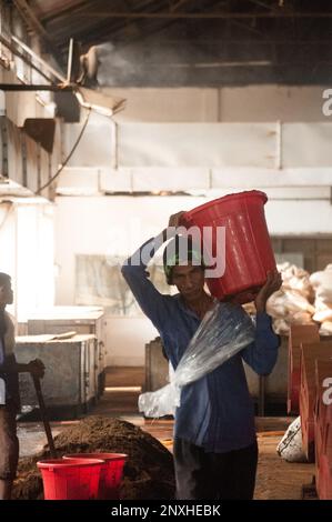 Immagini del mulino di produzione del tè a sylhet, Bangladesh. Foto Stock