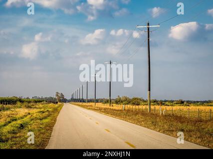 Strada piana diritta con pali telefonici nella Florida centrale rurale degli Stati Uniti Foto Stock