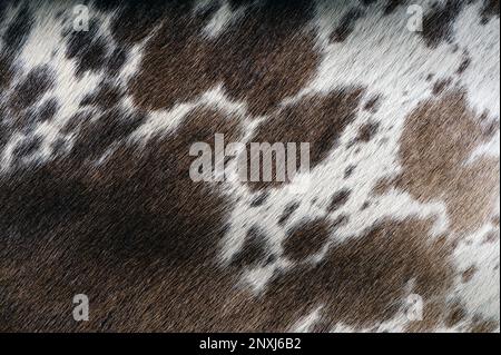 Texture di pelle di cowhide marrone vista ravvicinata. Modello di tappeto di lana Foto Stock