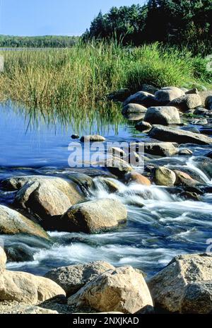 Il fiume Mississippi inizia con l'acqua che scorre su piccoli massi fuori dall'Itaska state Park nel Minnesota, Stati Uniti. Foto Stock