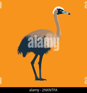 Cartone animato Ostrich Gray Bird Flat Design stile. Illustrazione Vettoriale