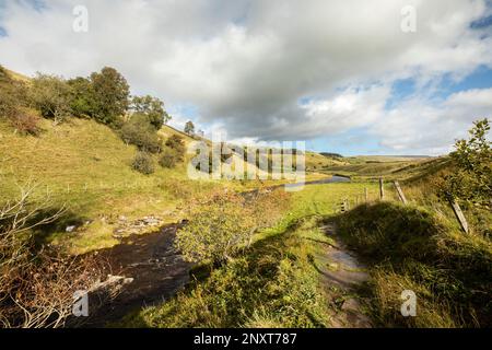 Fiume Nent vicino Blagill tra Alston e Nenthead, Cumbria Foto Stock