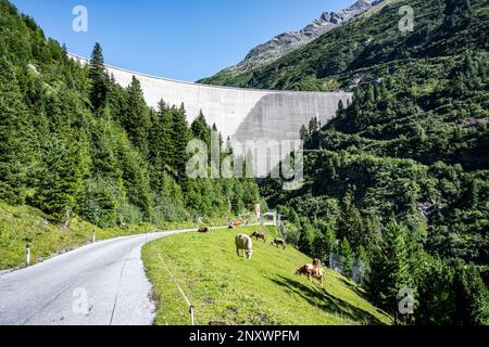 Enorme diga in calcestruzzo di apline nella soleggiata giornata estiva. Zillergrundl Speicher, Alpi Zillertal, Austria Foto Stock