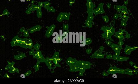 Microrganismi o batteri in movimento astratti su sfondo nero. Design. Concetto di chimica e biologia Foto Stock