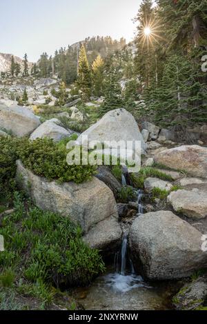 Tiny Stream si abbaia sulle rocce sotto Sunburst nel Sequoia National Park Foto Stock