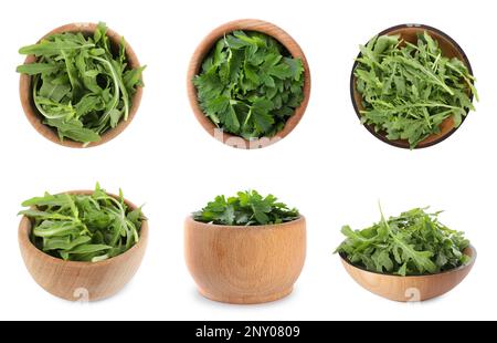 Mettere con rucola e prezzemolo su fondo bianco Foto Stock