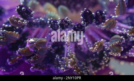 Primo piano di fiore luminoso in acqua con bolle. Riprese in stock. Bocciolo di fiori viola con bolle rinfrescanti. Piccole bolle sui petali di fiori per il profumo. Foto Stock