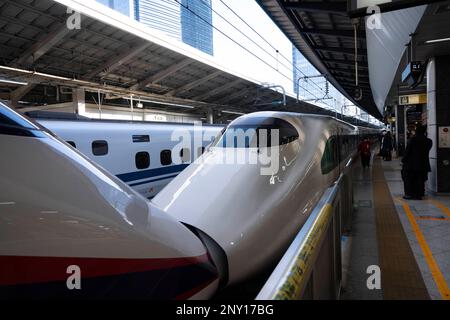 Tokyo, Giappone. 28th Feb, 2023. A JR East E2 Shinkansen, costruito da Hitachi e Kawasaki Heavy Industries, presso la stazione di Tokyo con servizio sul servizio Yamabiku TÅhoku Shinkansen fino alla stazione di Sendai.Stazione di Tokyo (Æ±äº¬é§…) È uno storico hub di trasporto in Giappone, che serve come terminal per shinkansen e treni locali. È anche una destinazione per lo shopping e i ristoranti, con ristoranti, boutique e un hotel nel suo edificio principale in mattoni ristrutturato. Shinkansen (Æ-°å¹¹ç·š) è la rete di treni ad alta velocità giapponese che collega le principali città. Noto per velocità, efficienza e comfort, è uno degli autobus Foto Stock