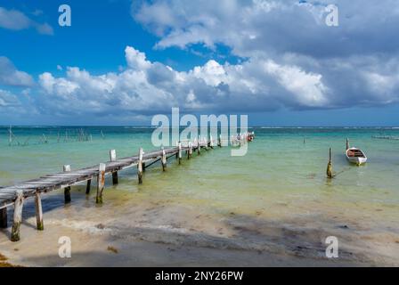 Mahahual, Quintana Roo, Messico, Un molo sulla spiaggia di Mahahual con sargassum che danneggiano la costa maya. Foto Stock