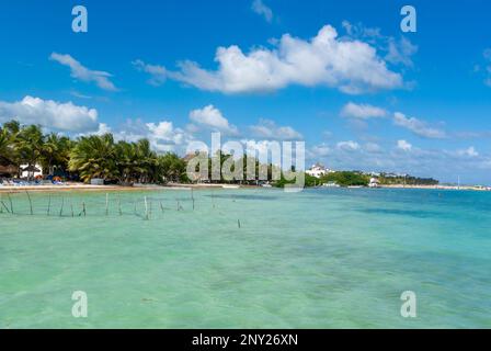 Mahahual, Quintana Roo, Messico, Un molo sulla spiaggia di Mahahual con sargassum che danneggiano la costa maya. Foto Stock