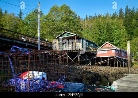 Telegraph Cove edifici storici da Marina Docks. Il porticciolo di Telegraph Cove e le sistemazioni costruite su pilings che circondano questa posizione storica. Foto Stock